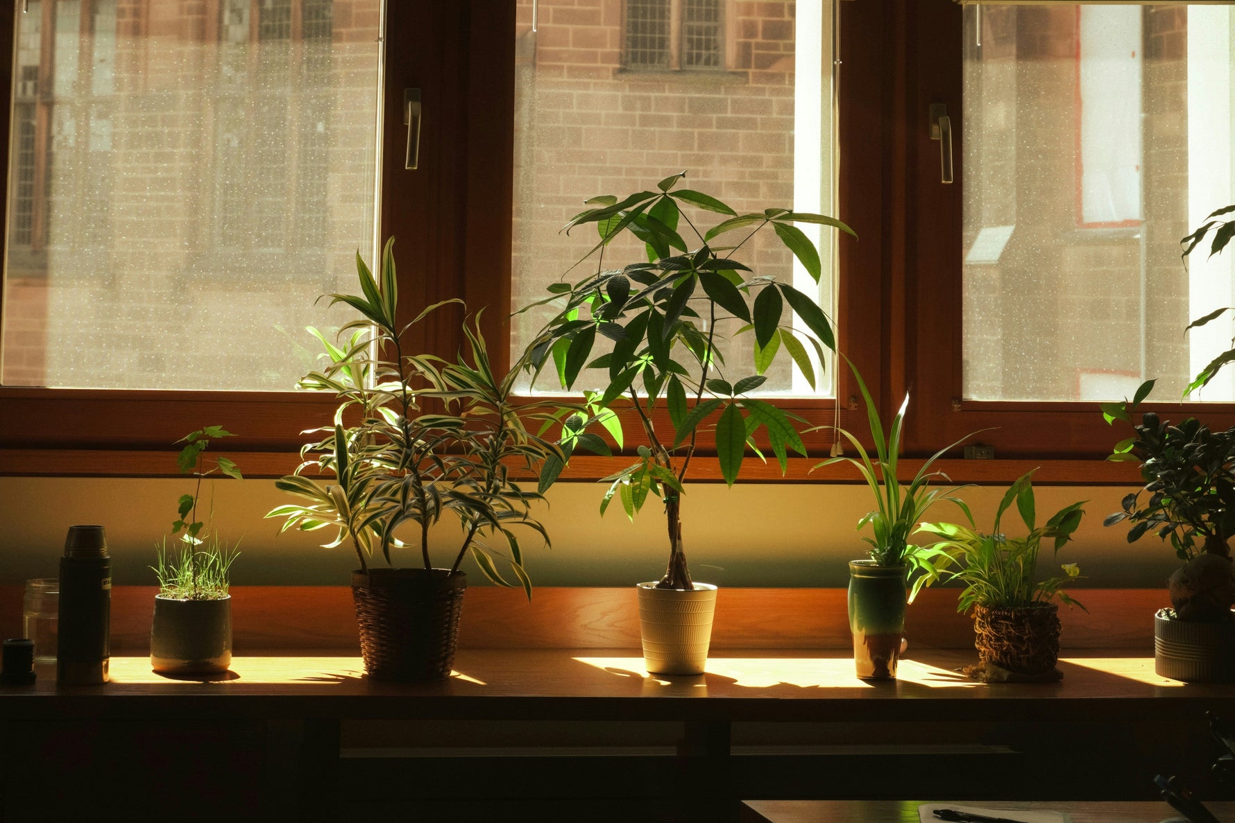 How to energize your home with biophilic design