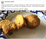 gfJules Gluten Free Cornbread Mix