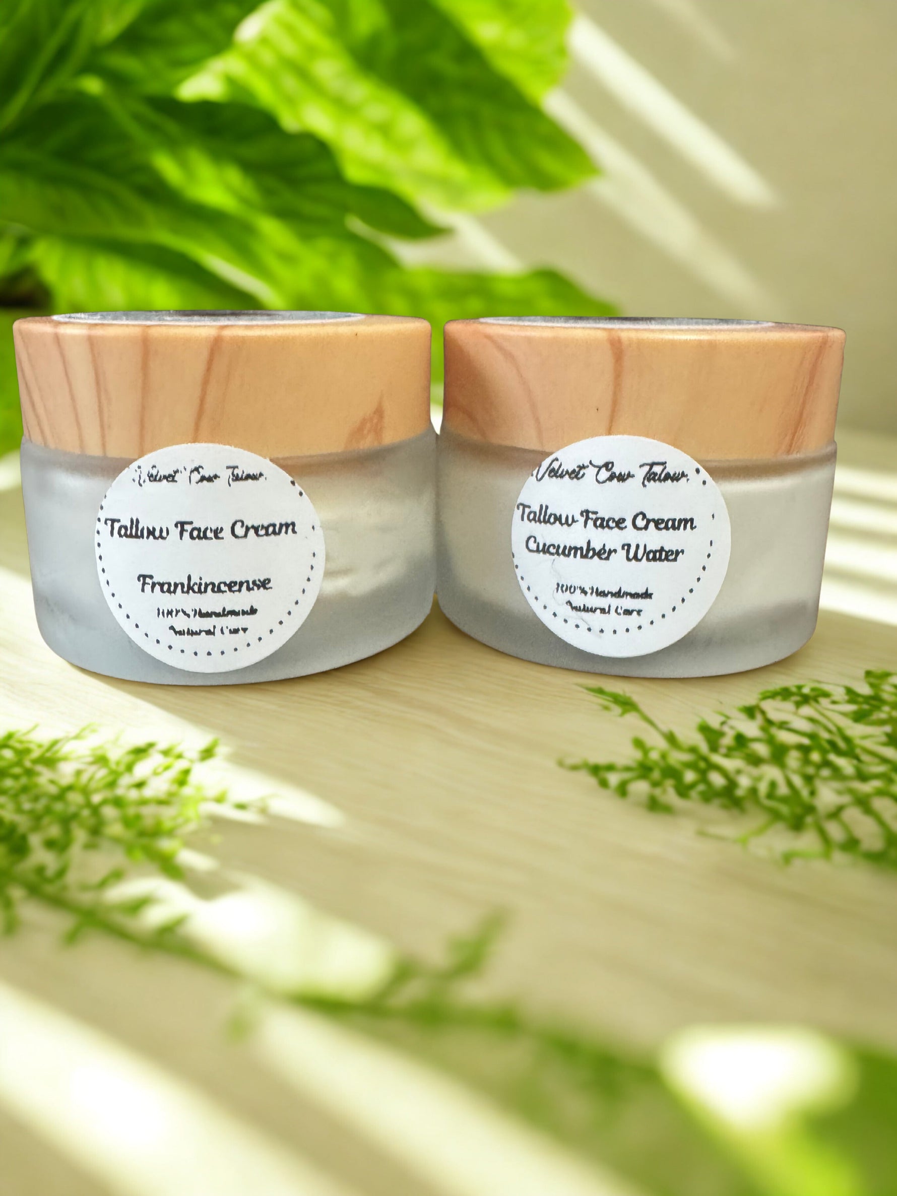 Radiance Renewal Tallow Face Cream | Bakuchiol, Moringa, Vitamin E & Hyaluronic Acid