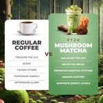 RYZE Superfoods Mushroom Matcha Starter Kit – USDA Organic Ceremonial Grade Matcha with 6 Adaptogenic Mushrooms, Energy, Focus & Immune Support, 30 Servings