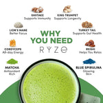 RYZE Superfoods Mushroom Matcha Starter Kit – USDA Organic Ceremonial Grade Matcha with 6 Adaptogenic Mushrooms, Energy, Focus & Immune Support, 30 Servings