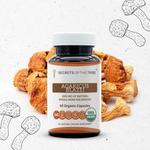 Agaricus Blazei Capsules