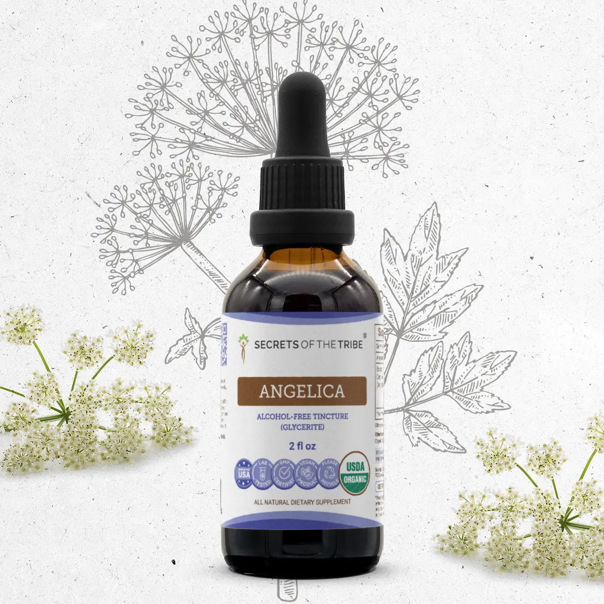 Angelica Tincture