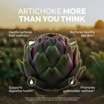 Artichoke Tincture