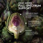 Artichoke Tincture