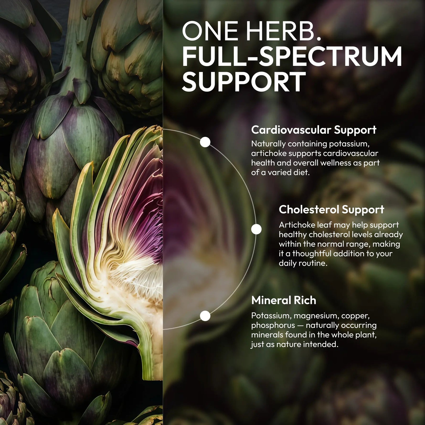 Artichoke Tincture