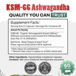 Daily Nutra KSM-66 Ashwagandha 600mg Capsules