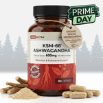 Daily Nutra KSM-66 Ashwagandha 600mg Capsules