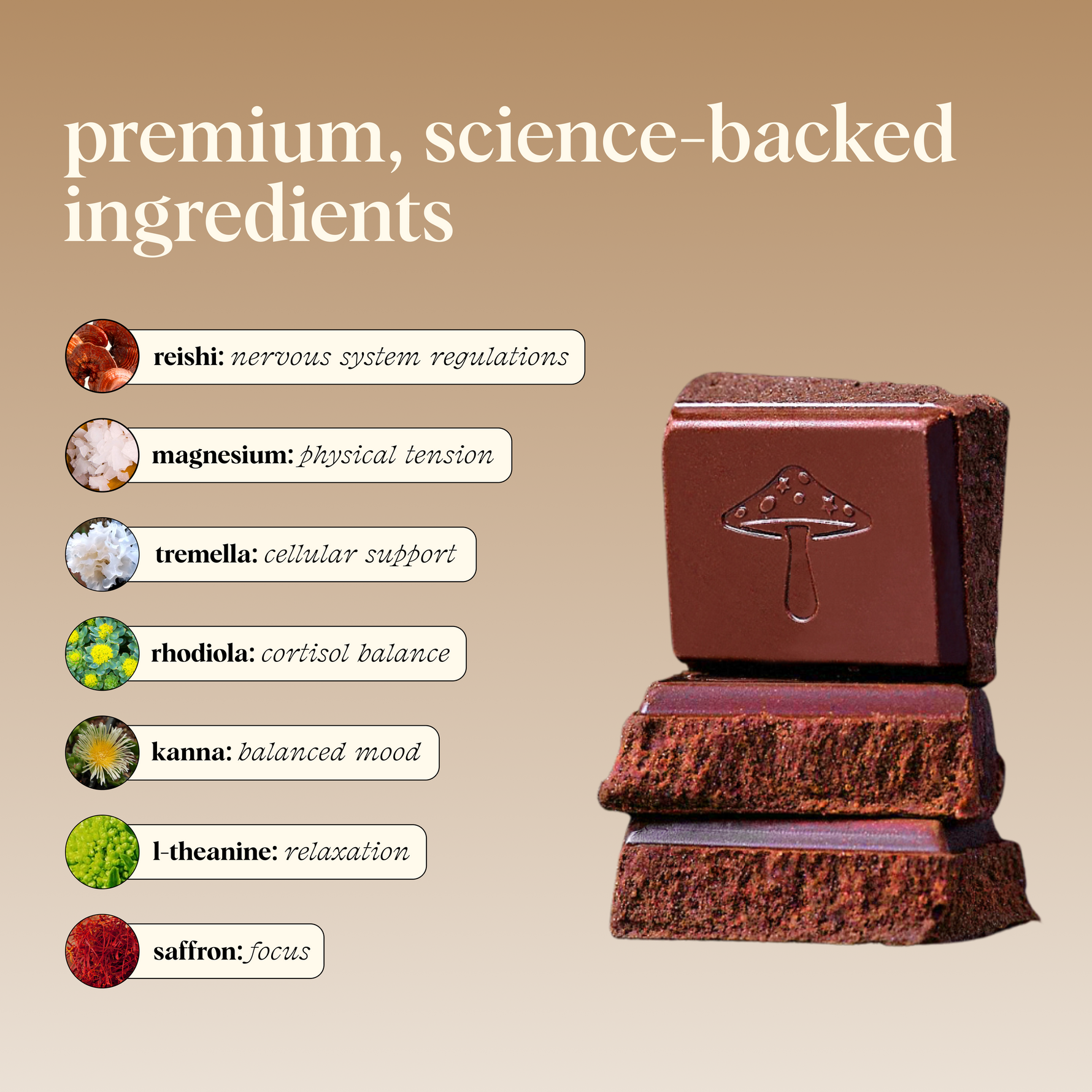 Zen-X Functional Mushroom Chocolates