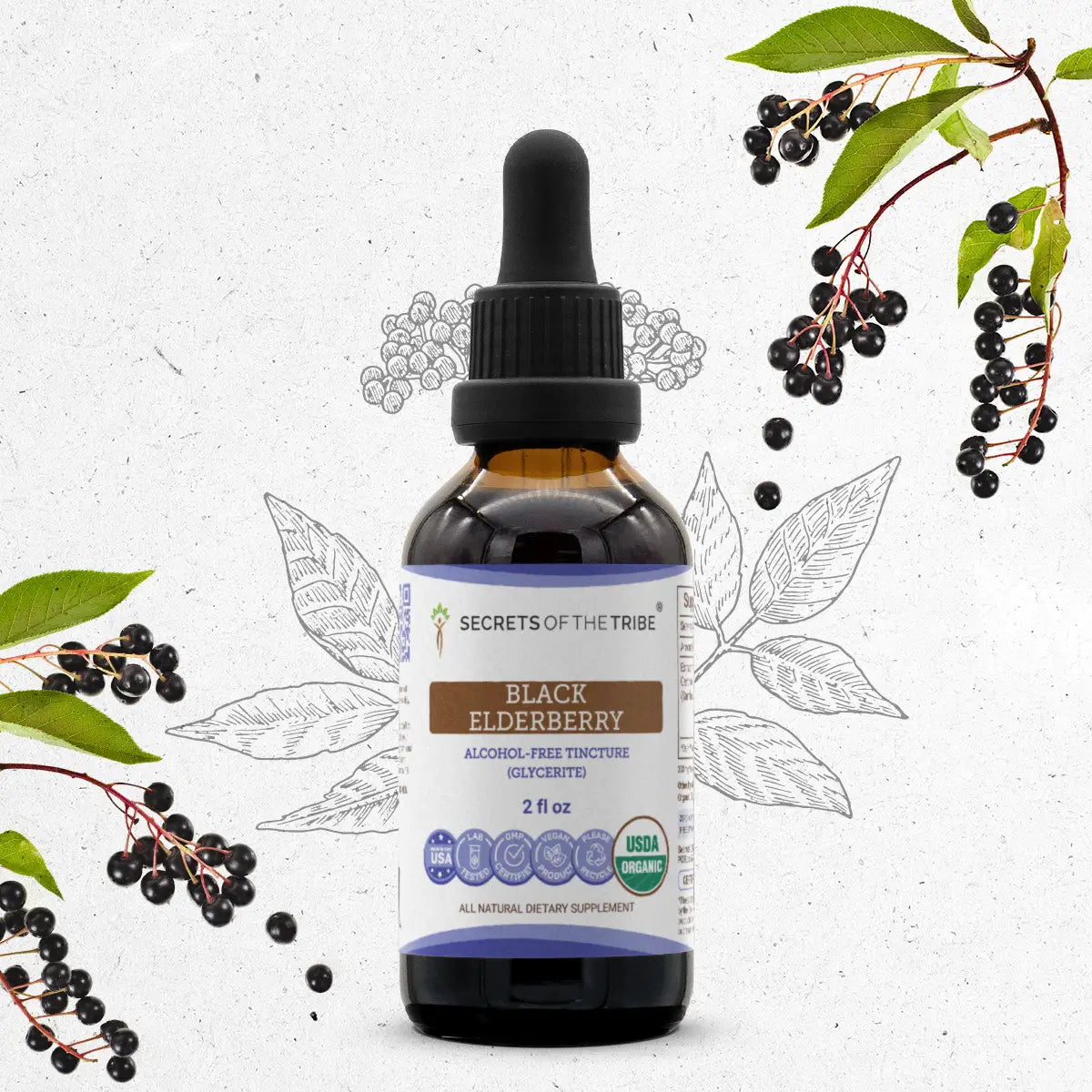 Black Elderberry Tincture