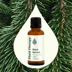 Black Spruce Essential Oil
