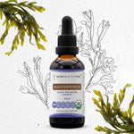 Bladderwrack Tincture