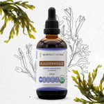 Bladderwrack Tincture