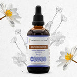 Bloodroot Tincture