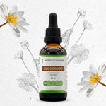 Bloodroot Tincture