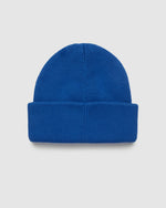 Alden Beanie