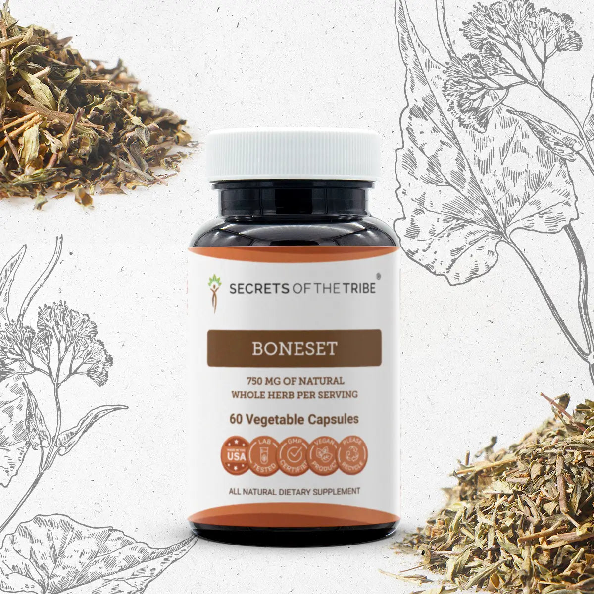 Boneset Capsules