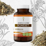 Boneset Capsules