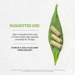 Boneset Capsules