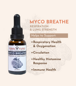 Core Blend Set