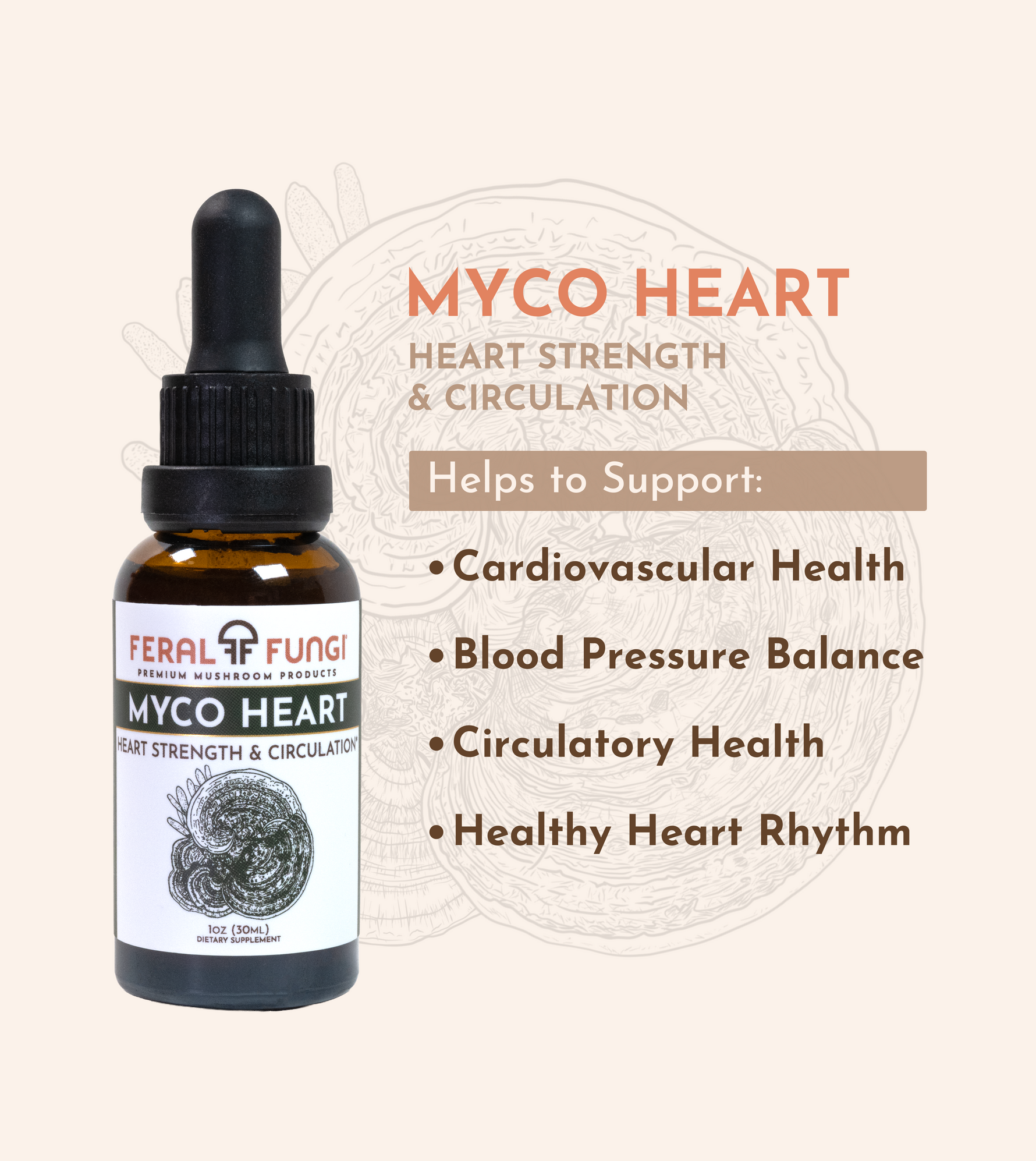 Core Blend Set