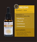 Planetary Set of Spagyric Tinctures
