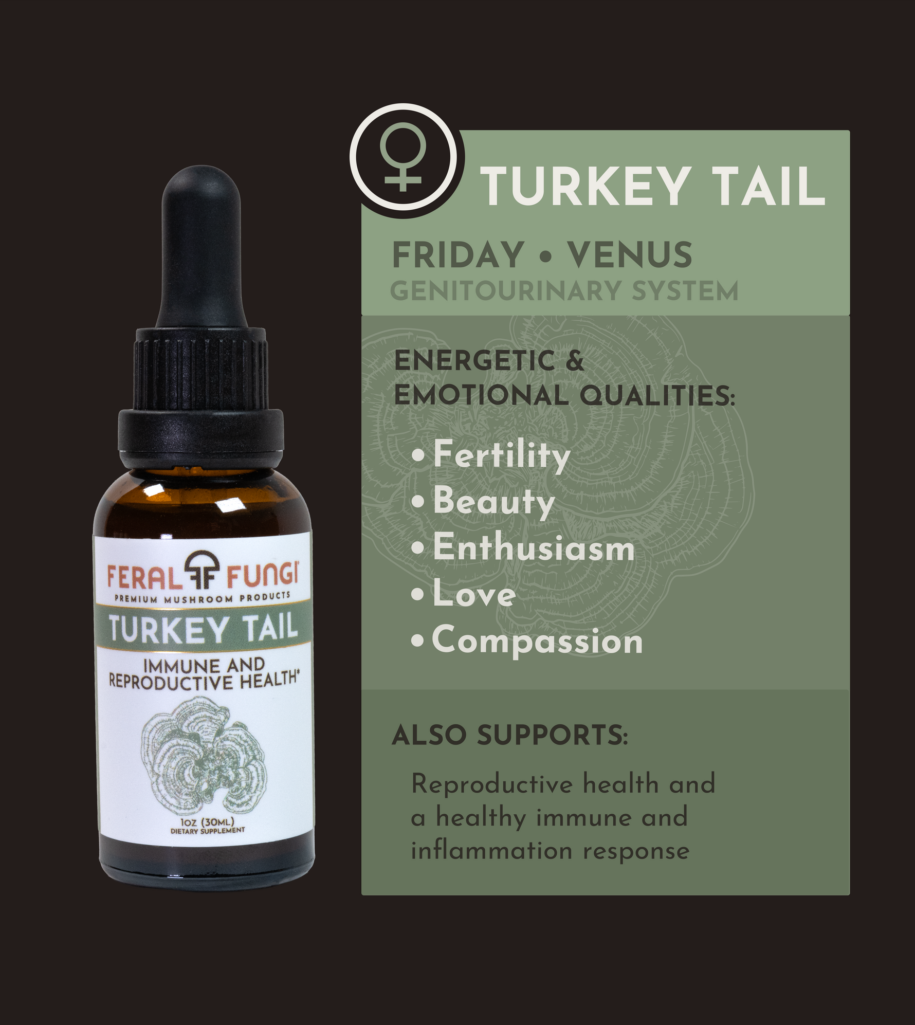 Planetary Set of Spagyric Tinctures