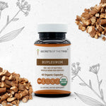 Bupleurum Capsules