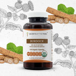 Burdock Capsules