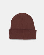 Alden Beanie