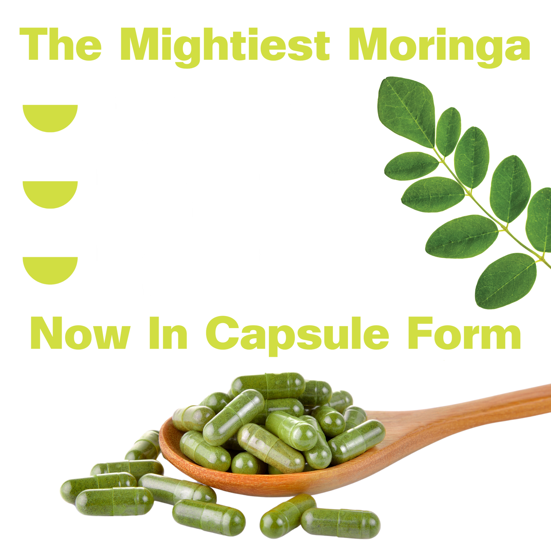 Organic Pure Moringa Powder Capsules (60-Count)