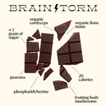 Brainstorm Single Tin