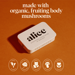 Brainstorm Single Tin