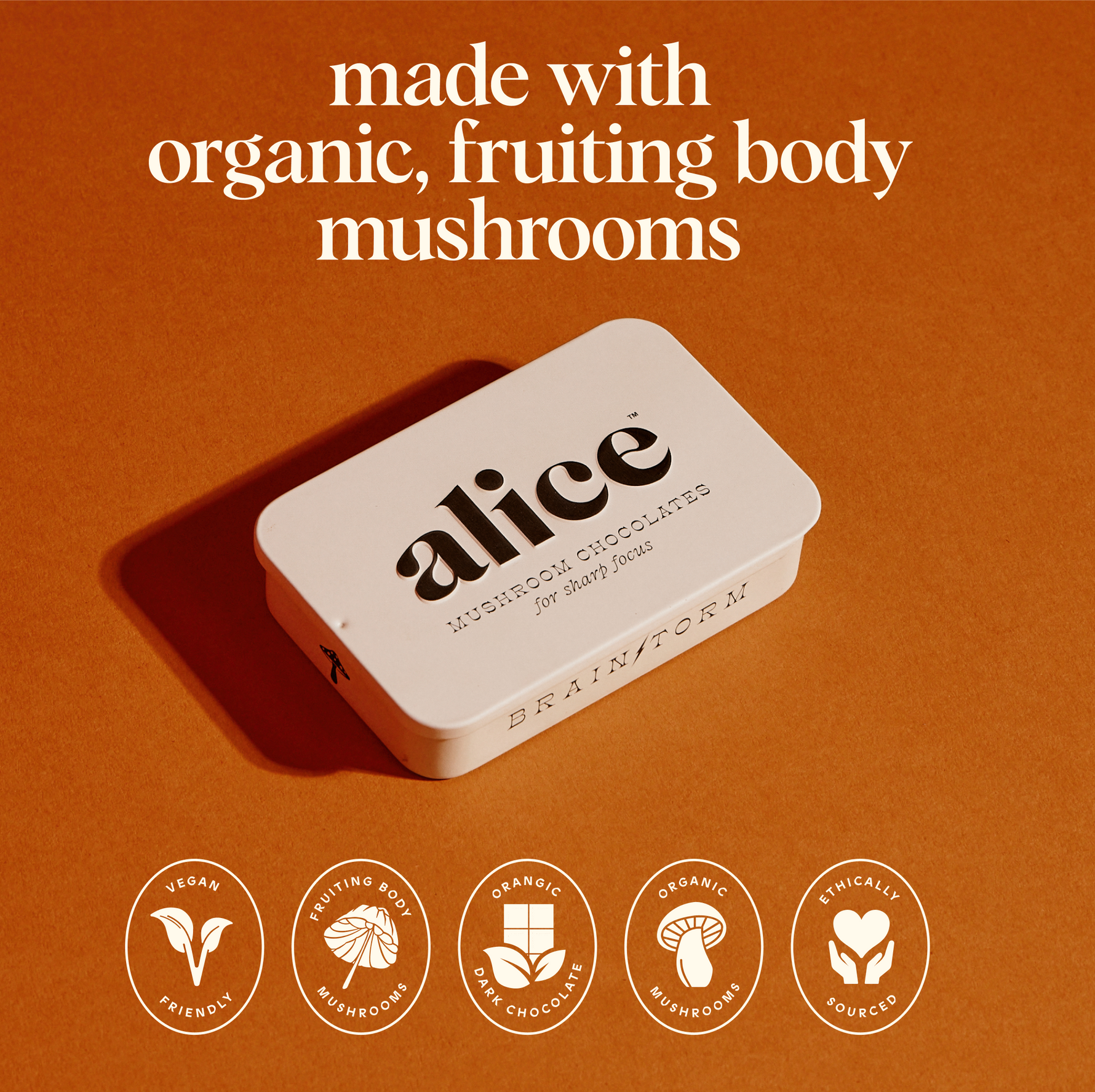 Brainstorm Single Tin