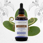 Cat's Claw Tincture
