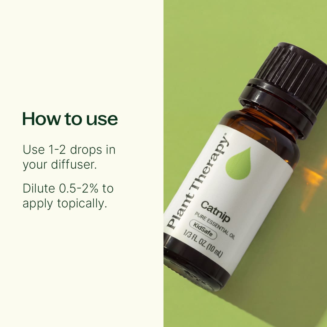 Catnip Essential Oil