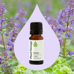 Catnip Essential Oil