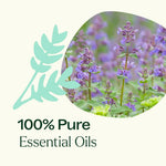 Catnip Essential Oil