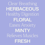 Catnip Essential Oil