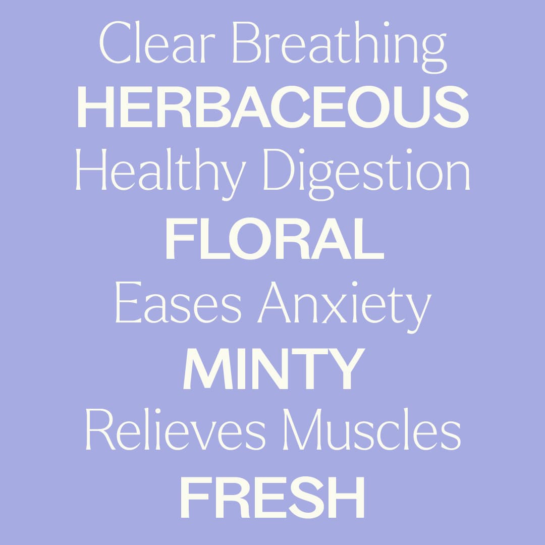 Catnip Essential Oil