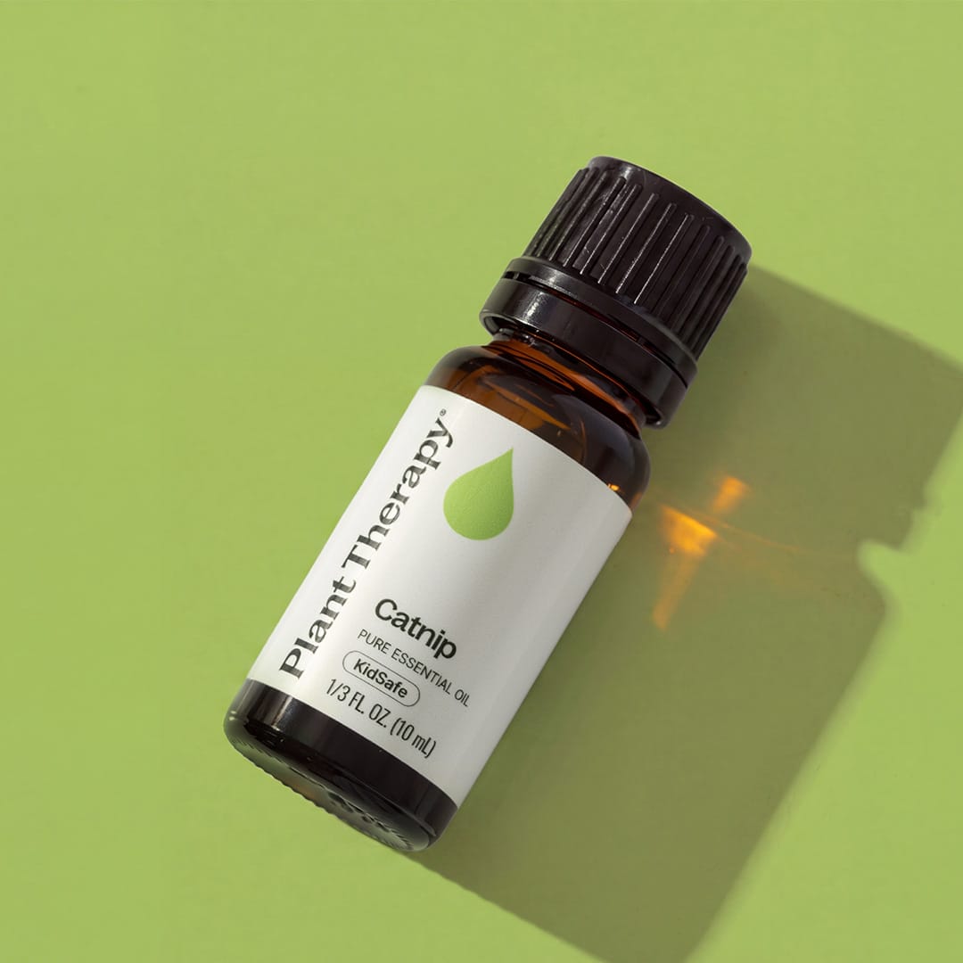Catnip Essential Oil