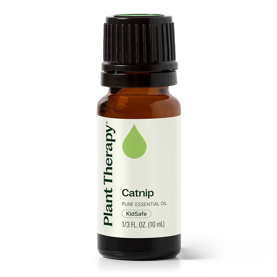 Catnip Essential Oil