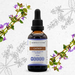 Catnip Tincture