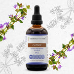 Catnip Tincture