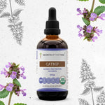 Catnip Tincture
