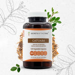 Catuaba Capsules