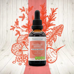 Cellulite Secret - Metabolism/Detox/Circulation