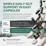 Activated Charcoal Capsules, 60 servings - Made from 100% Organic Coconuts