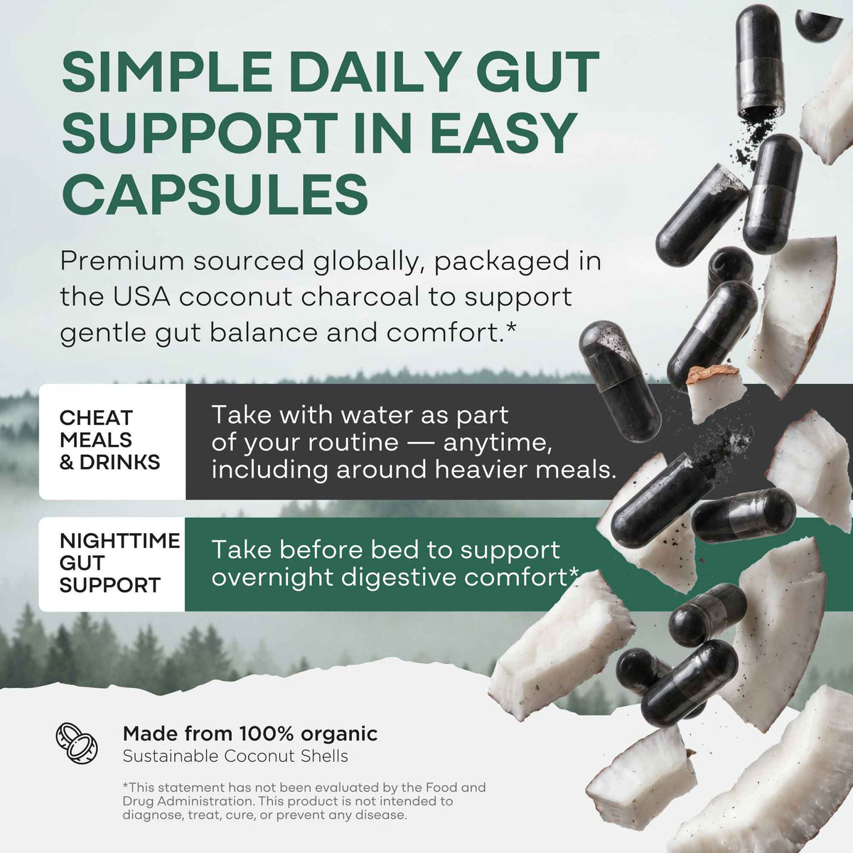 Activated Charcoal Capsules, 60 servings - Made from 100% Organic Coconuts