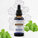 Cilantro Tincture